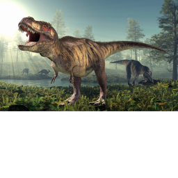 🦕 Dinosaurs [BREAK-OUT]