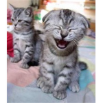 Old wrinkly laugh clan