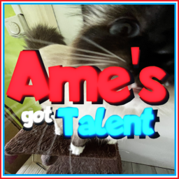 Amelie's Got Talent