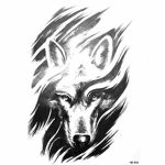 Team-Alpha