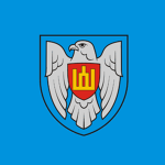 Lithuanian Air Force
