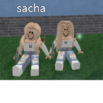 TeamShaSha