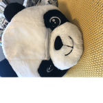 Panda popcorn34