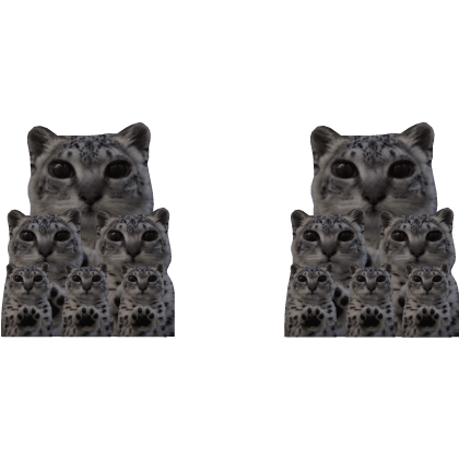 MeiMei Army | paws at you snow leopard cat meme