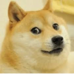 Dogge meme fans :3