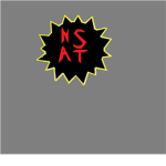 N.S.A.T