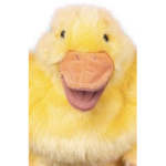 The Quackers group