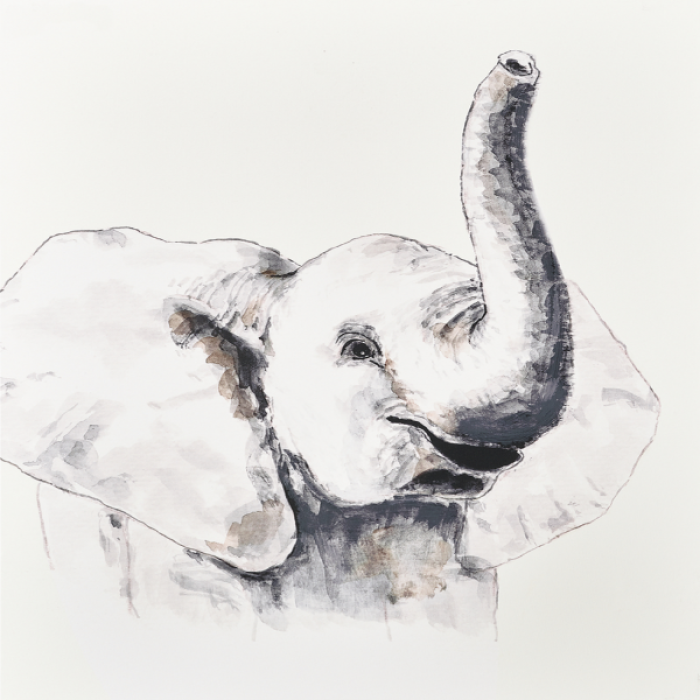 Aesthetic Watercolor Nursery Art Elephant bww Roblox decal