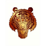 GOLDEN TIGERS (part of the golden football league)