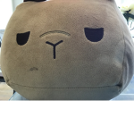 Capybara Fan Database