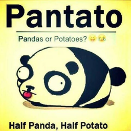 Panda's and Potatoes Fanz!'s Place Number: 0