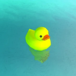 Duck in the water
