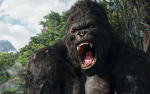 Gorillas_Friends
