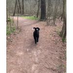 Aspens Adventures