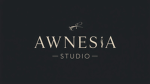 AMNES STUDIO