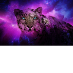 SquirrelBoss747