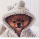#FuzzyFriends