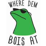 Them boiis
