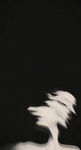 Fox and wolf luvr