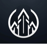 Bozoionix Trading Group