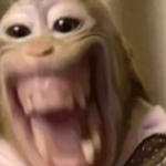 WAPAS D+
