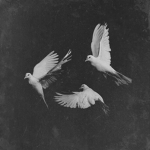 TEAM3DOVES