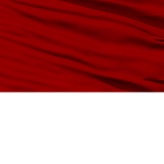 [RB] Bear Special Forces
