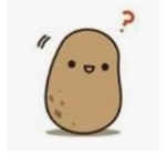 POTATO'S are aesthetic