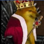 THE KINGDOM OF THE DOGS