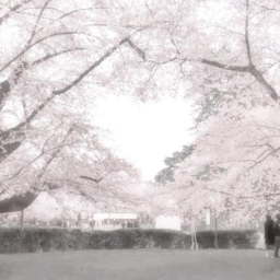 のみ ♡︎