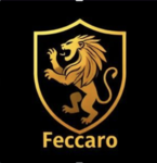 Feccaro Roblox Racing