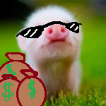 the mini pig money gang