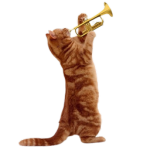 Dawdle