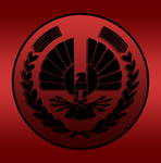 Sonar Panem