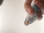 Rest in peace little guy R.I.P