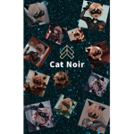 Cat Noir Fan Group!