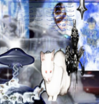 skeebys Group Thumbnail