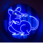 Sᴀᴍᴍɪs Rᴀᴛs