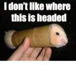Conehead OC group