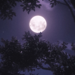 Ambience Moon
