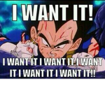I wanna i wanna