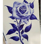 Fancy rose's