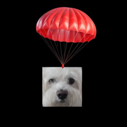 hi