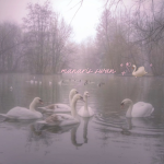 manaris swan <3