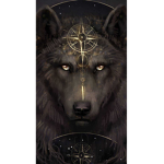 Asche's Rp Group