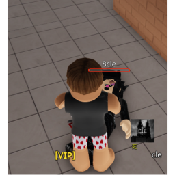 Fight At A Court! (R6 EMOTES)