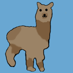 I love alpacas and llamas group