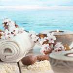 ocean blossoms