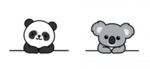 Koala and Panda Club