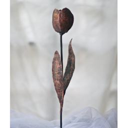 Tin Tulip: Meeting/Announcment area